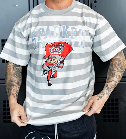 Sparked U Striped T